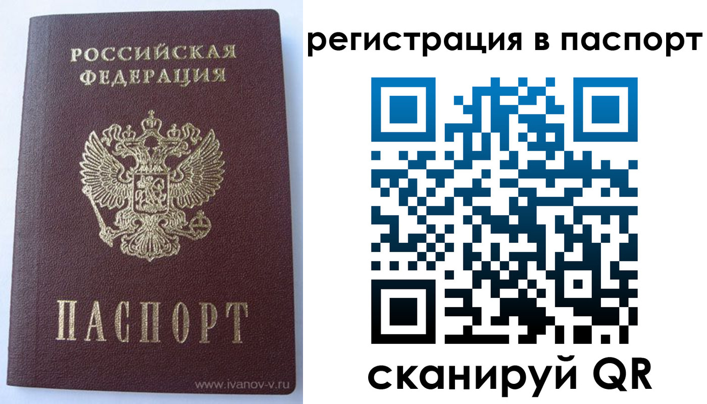 прописка поиск в Сафоново